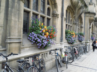 10_Oxford_06.JPG
