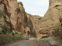 09g_Cap Reef_Kloof.JPG