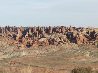 10d_woud van vinnen.JPG