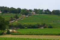 cBeaune_08.JPG