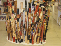 IMG_2830 (Large).JPG