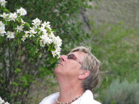 032-Onderweg bloesems.JPG